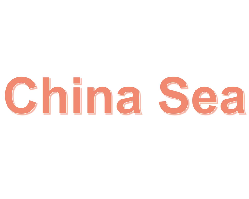 CHINA SEA, located at 909 3RD AVE, NEW BRIGHTON, PA logo